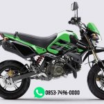 KSR PRO 110