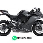 NINJA ZX-25R