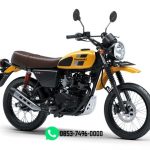 W175 TR SE