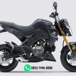 Z125 PRO