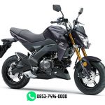 Z125 PRO
