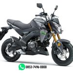 Z125 PRO